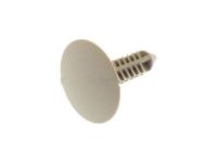 GM 15111580 Retainer, Electronic Control Suspension GM 15111580 Retainer, Electronic Control Suspension