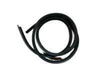 GM 23255368 Weatherstrip On Body GM 23255368 Weatherstrip On Body