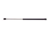 GM 10376352 Strut GM 10376352 Strut