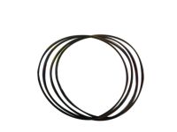 GM 24234206 Seal, Transmission Forward Cone Flywheel, Outer
