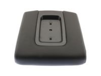 GM 22881398 Lid, Black
