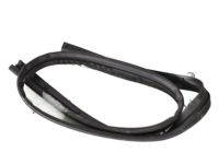 GM 84324584 Front Weatherstrip GM 84324584 Front Weatherstrip