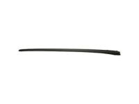GM 92212084 Reveal Molding