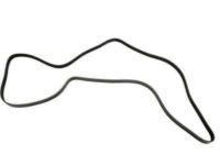GM 12577771 Serpentine Belt GM 12577771 Serpentine Belt