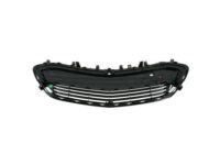GM 42497937 Lower Grille, Black, Front