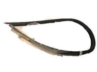 GM 20847948 Belt Weatherstrip, Front Passenger Side GM 20847948 Belt Weatherstrip, Front Passenger Side