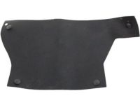 GM 15208497 Baffle, Driver Side GM 15208497 Baffle, Driver Side