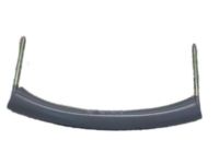 GM 15170313 Assist Strap GM 15170313 Assist Strap