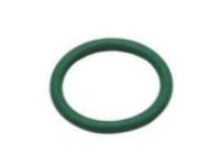 GM 12657524 Screen Seal