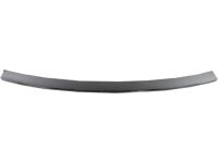 GM 25889003 Step Pad, Rear Lower