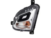 GM 84226245 Signal Lamp Assembly, Front Driver Side