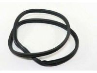 GM 20963245 Glass Weatherstrip GM 20963245 Glass Weatherstrip