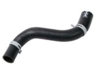 GM 10423132 Lower Hose GM 10423132 Lower Hose