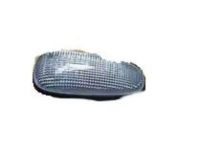 GM 15930599 Repeater Lamp, Front GM 15930599 Repeater Lamp, Front