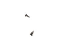 GM 11519838 Rocker Molding Screw, Front GM 11519838 Rocker Molding Screw, Front