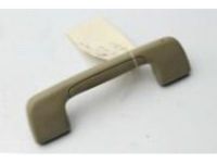 GM 20826120 Grip Handle, Titanium, Rear