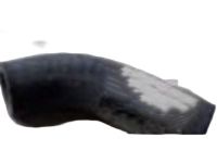 GM 12600254 Hose, Engine Coolant By - Pass GM 12600254 Hose, Engine Coolant By - Pass