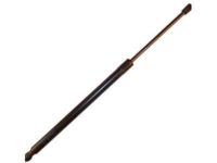 GM 20990085 Lift Cylinder, Passenger Side