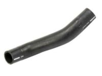 GM 21999765 Lower Hose GM 21999765 Lower Hose