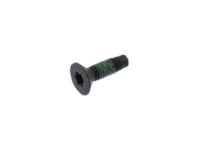 GM 11571034 Shift Knob Bolt