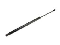 GM 84298336 Lift Cylinder, Driver Side GM 84298336 Lift Cylinder, Driver Side