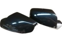 GM 20826663 Cover, Black, Rear Passenger Side