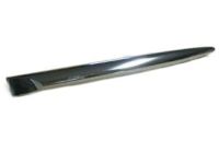 GM 22795509 Molding, Outer Passenger Side GM 22795509 Molding, Outer Passenger Side