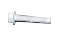 GM 11589356 Yoke Bolt