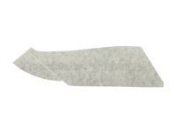 GM 95181805 Black Out Tape