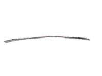GM 25961908 Strip Molding, Front, Rubber GM 25961908 Strip Molding, Front, Rubber