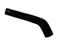 GM 19130608 Lower Hose GM 19130608 Lower Hose