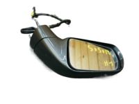 GM 22961816 Mirror Outside, Rear Driver Side