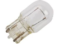 GM 13579198 Tail Lamp Bulb