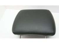 GM 20998441 Headrest, Driver Side GM 20998441 Headrest, Driver Side