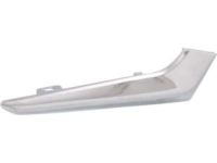 GM 23478373 Trim Molding, Driver Side