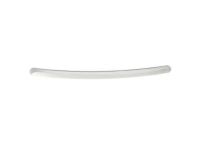 GM 10385156 Front Molding GM 10385156 Front Molding