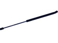 GM 20783833 Lift Cylinder GM 20783833 Lift Cylinder