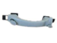 GM 15771428 Assist Strap, Driver Side GM 15771428 Assist Strap, Driver Side