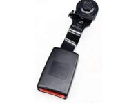 Buick Seat Belt - 19301276 Center Buckle, Driver Side