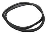 GM 95021340 Door Weatherstrip GM 95021340 Door Weatherstrip
