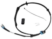 GM 25737352 Wire Harness, Front