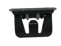 GM 15078238 Grille Retainer