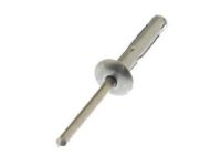GM 11516936 License Bracket Rivet GM 11516936 License Bracket Rivet