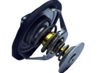 GM 12555290 Thermostat GM 12555290 Thermostat
