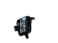 GM 23422145 Fog Lamp, Front Driver Side GM 23422145 Fog Lamp, Front Driver Side
