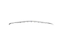 GM 23218672 Molding GM 23218672 Molding