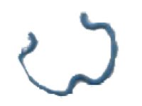 GM 15724727 Retainer, Transmission Oil Auxiliary GM 15724727 Retainer, Transmission Oil Auxiliary
