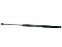 GM 20990086 Lift Cylinder, Passenger Side GM 20990086 Lift Cylinder, Passenger Side