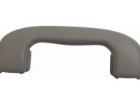 GM 15924263 Grip Handle, Titanium, Rear GM 15924263 Grip Handle, Titanium, Rear