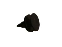 GM 11547005 Sight Shield Retainer GM 11547005 Sight Shield Retainer